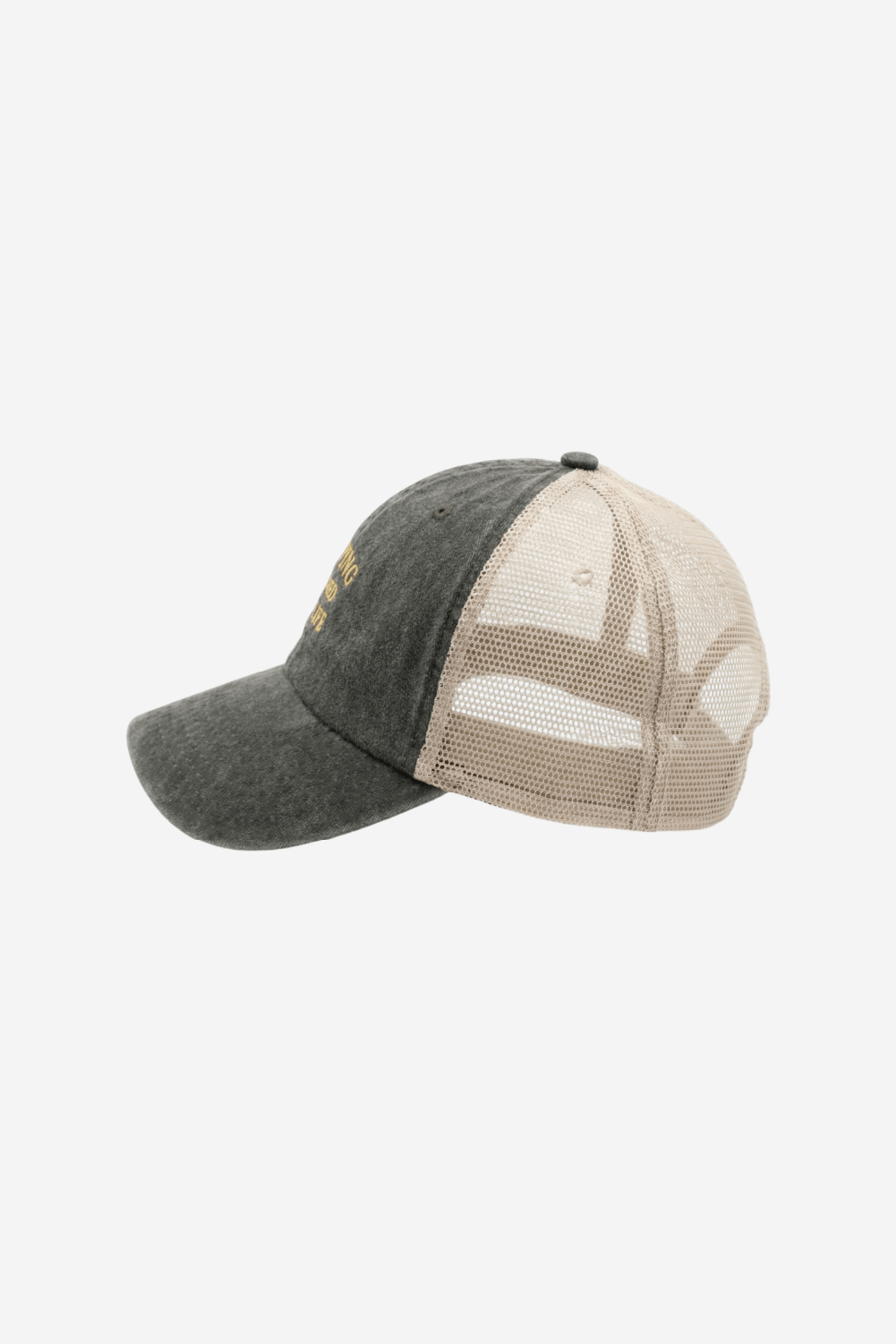 Surfing Ruined My Life Vintage Trucker Cap Green