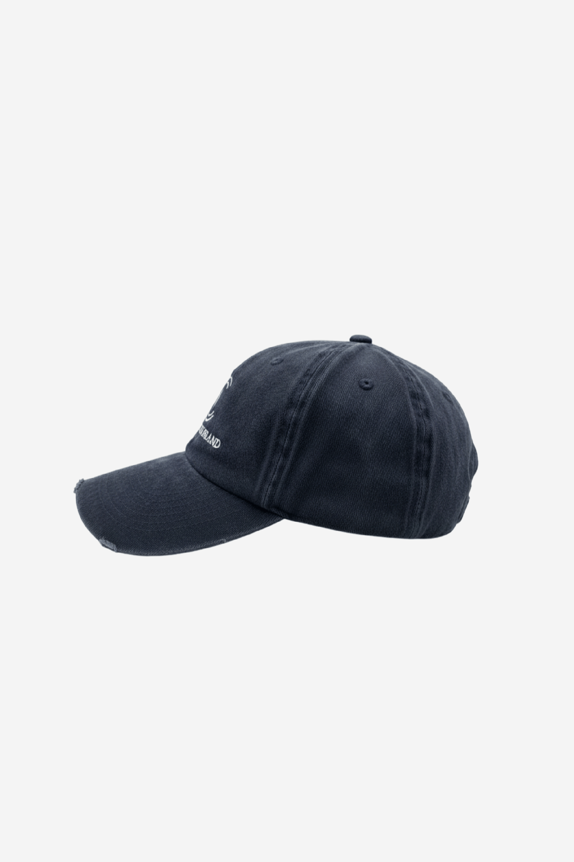 COMPASS Wasted Dad Cap French Navy